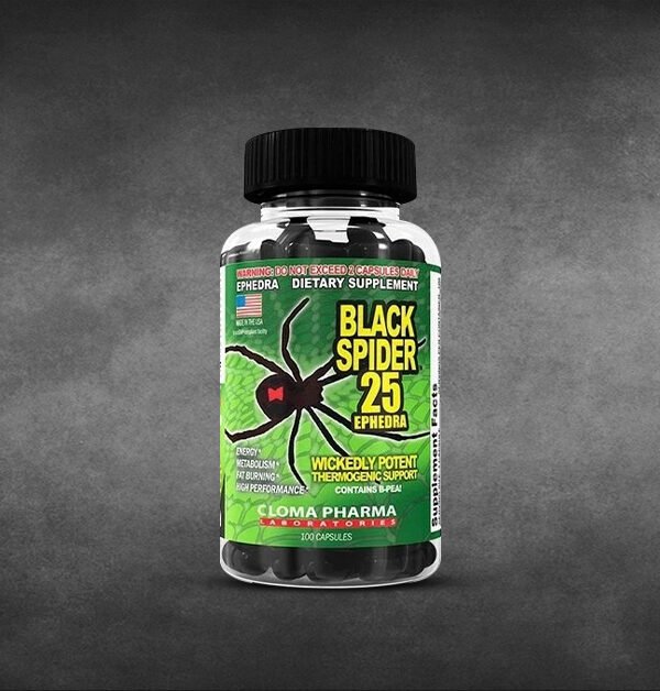 Black Spider